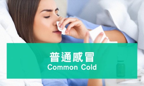 成人增高钙片真的能长高吗-成人增高所需营养网-分享一般成人增高需要多少费用多少，成人增高最快方法知识库