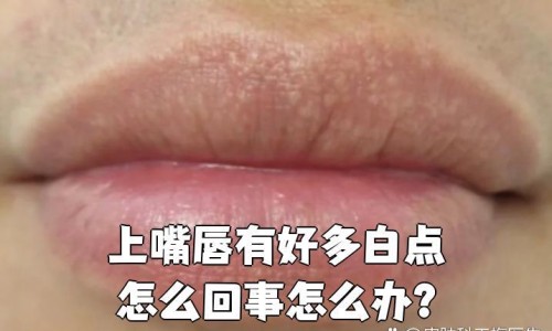 成人增高真的可以增高吗-成人增高所需营养网-分享一般成人增高需要多少费用多少，成人增高最快方法知识库