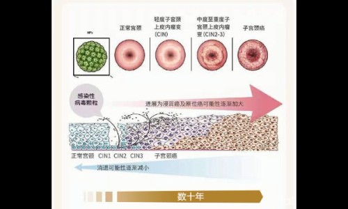 成人增高真的可以增高吗-成人增高所需营养网-分享一般成人增高需要多少费用多少，成人增高最快方法知识库